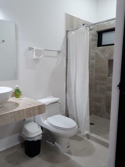 Estudio Nuevo En Centro Apartamento *